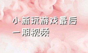 小新玩游戏最后一期视频