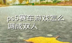 ps5赛车游戏怎么调成双人（ps5赛车游戏怎么控制手柄）