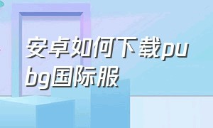 安卓如何下载pubg国际服