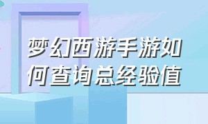 梦幻西游手游如何查询总经验值（梦幻西游手游等级限制怎么刷经验）