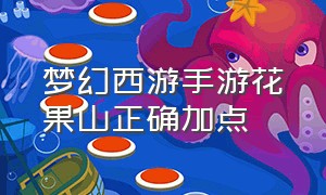 梦幻西游手游花果山正确加点