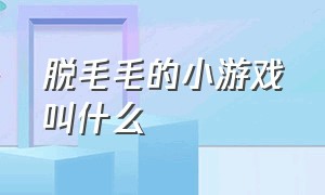 脱毛毛的小游戏叫什么