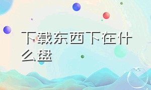 下载东西下在什么盘