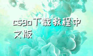 csgo下载教程中文版