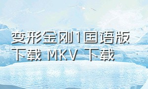 变形金刚1国语版下载 MKV 下载