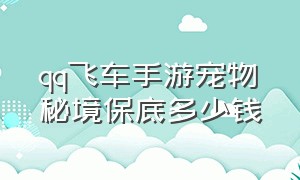 qq飞车手游宠物秘境保底多少钱