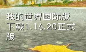 我的世界国际版下载1.16.20正式版