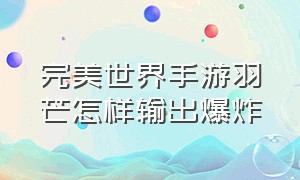 完美世界手游羽芒怎样输出爆炸