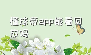 懂球帝app能看回放吗