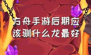 方舟手游后期应该驯什么龙最好