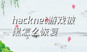 hacknet游戏被黑怎么恢复