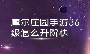 摩尔庄园手游36级怎么升阶快