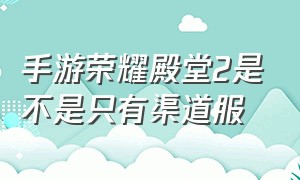 手游荣耀殿堂2是不是只有渠道服