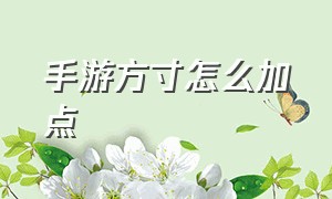 手游方寸怎么加点（手游方寸怎么加点最好）