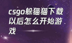 csgo躲猫猫下载以后怎么开始游戏