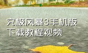 究极风暴3手机版下载教程视频