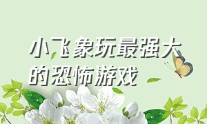 小飞象玩最强大的恐怖游戏