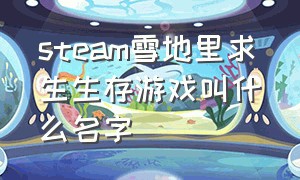 steam雪地里求生生存游戏叫什么名字