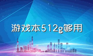 游戏本512g够用（游戏本512g够用嘛）