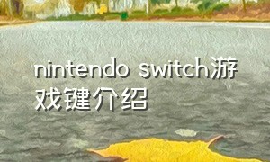 nintendo switch游戏键介绍（nintendo switch怎么下游戏）