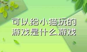 可以给小猫玩的游戏是什么游戏