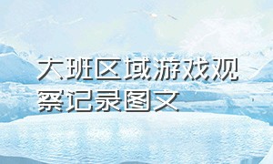 大班区域游戏观察记录图文