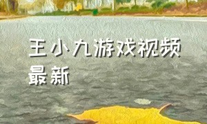 王小九游戏视频最新