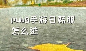 pubg手游日韩服怎么进