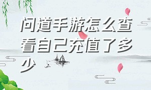 问道手游怎么查看自己充值了多少