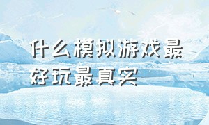 什么模拟游戏最好玩最真实