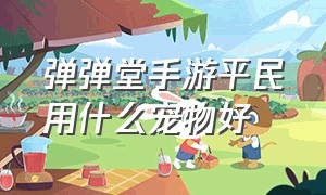 弹弹堂手游平民用什么宠物好