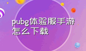 pubg体验服手游怎么下载