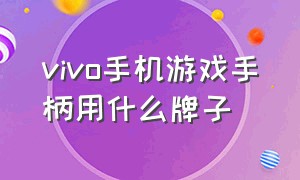 vivo手机游戏手柄用什么牌子（vivo游戏手柄详细评测）