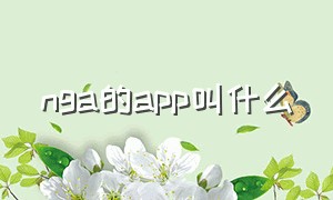 nga的app叫什么（nga下载的app）