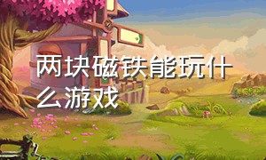 两块磁铁能玩什么游戏