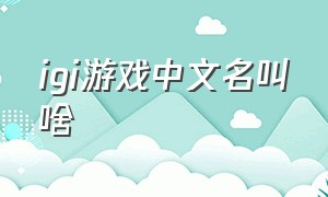 igi游戏中文名叫啥（igi游戏在steam叫什么）