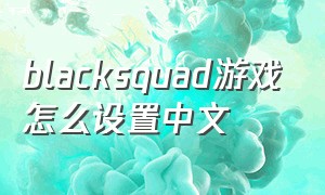 blacksquad游戏怎么设置中文