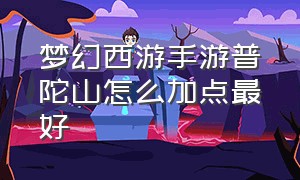 梦幻西游手游普陀山怎么加点最好