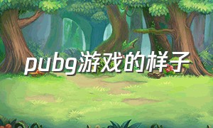 pubg游戏的样子（pubg游戏画面曝光了）