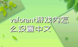 valorant游戏内怎么设置中文