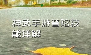 神武手游普陀技能详解（神武手游普陀怎么加点最好）