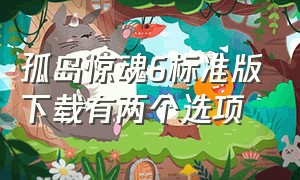 孤岛惊魂6标准版下载有两个选项