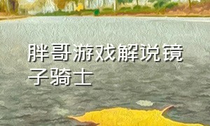 胖哥游戏解说镜子骑士