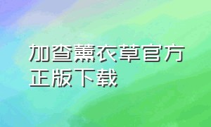 加查薰衣草官方正版下载