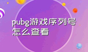 pubg游戏序列号怎么查看