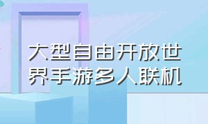 大型自由开放世界手游多人联机