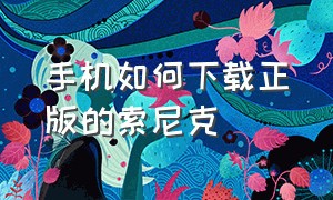 手机如何下载正版的索尼克（手机如何下载索尼克狂欢）