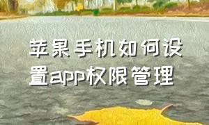 苹果手机如何设置app权限管理