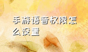 手游语音权限怎么设置