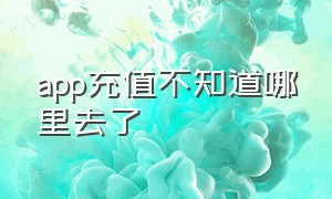 app充值不知道哪里去了